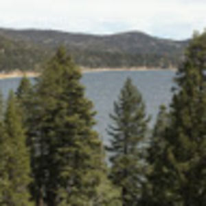 Meet your Posher, Monique